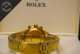 Daytona Paul Newman 6245 oro giallo