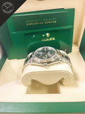 Datejust Wimbledon con cinturino Oyster 41 mm